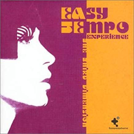 Easy Tempo Experience - The Third Dimension (2000, CD) - Discogs