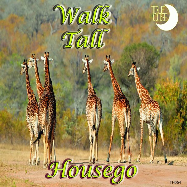 télécharger l'album Housego - Walk Tall