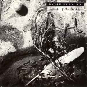 David Sylvian - Secrets Of The Beehive album cover
