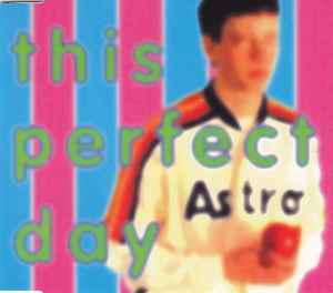 This Perfect Day - In The Mood album cover