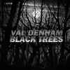 Val Denham - Black Trees
