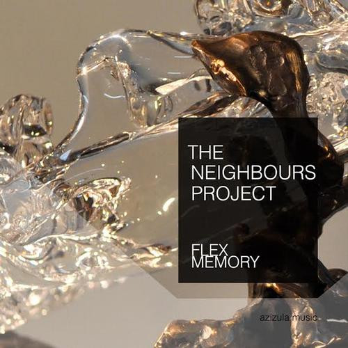 télécharger l'album The Neighbours Project - Flex Memory