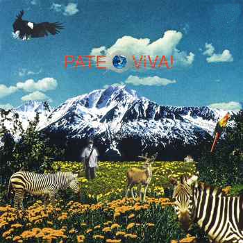 ladda ner album Pate - ViVA