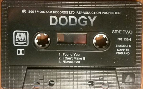 ladda ner album Dodgy - Found You