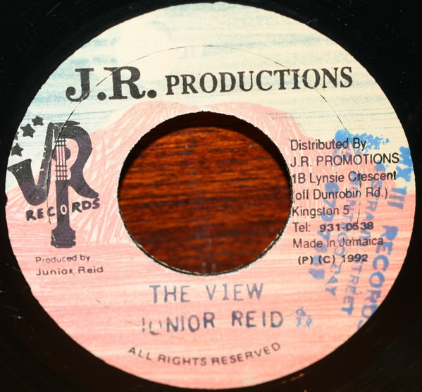 Album herunterladen Junior Reid - The View