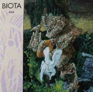 Biota - Almost Never