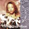 Cassandra Wilson - Dance To The Drums Again