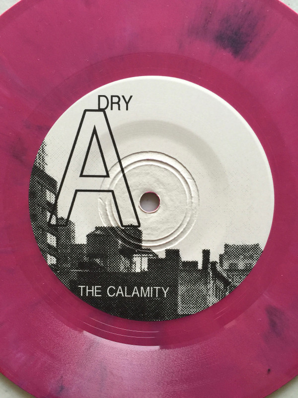 lataa albumi The Calamity - Dry We Descend