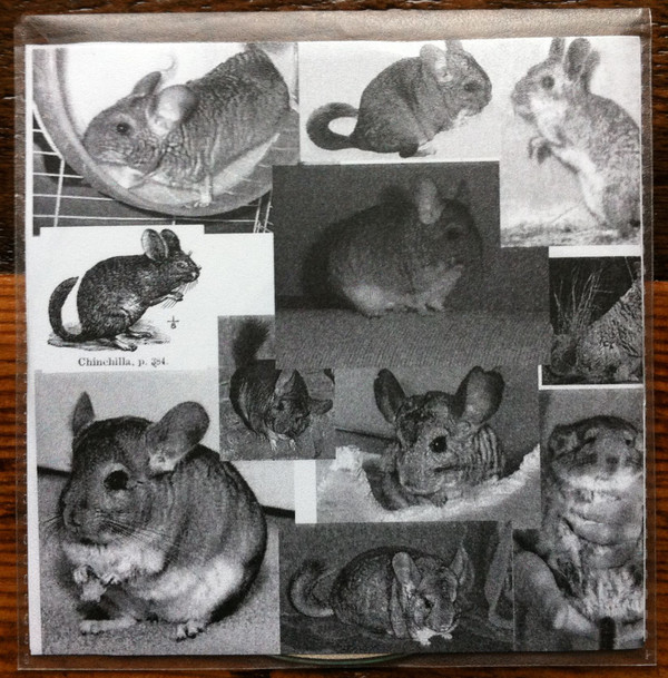 ladda ner album Chris Chinchilla - Small Gregarious Mammal
