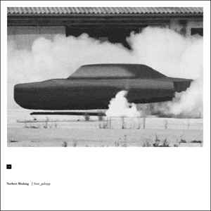 Norbert Möslang - Fuzz_Galopp album cover