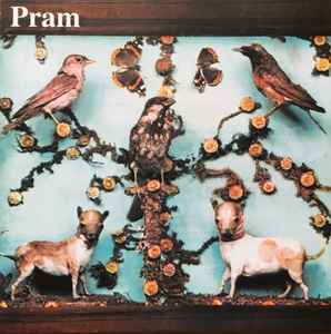 The Museum Of Imaginary Animals - Pram