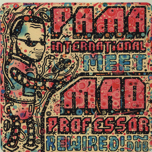 last ned album Pama International Meets Mad Professor - Rewired In Dub