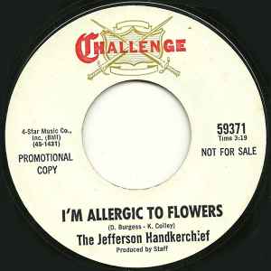 I'm Allergic To Flowers / The Little Matador - The Jefferson Handkerchief