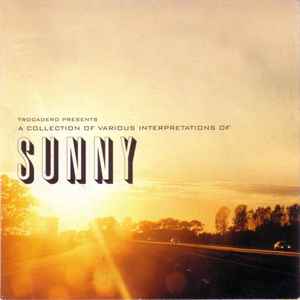 Various - A Collection Of Various Interpretations Of Sunny