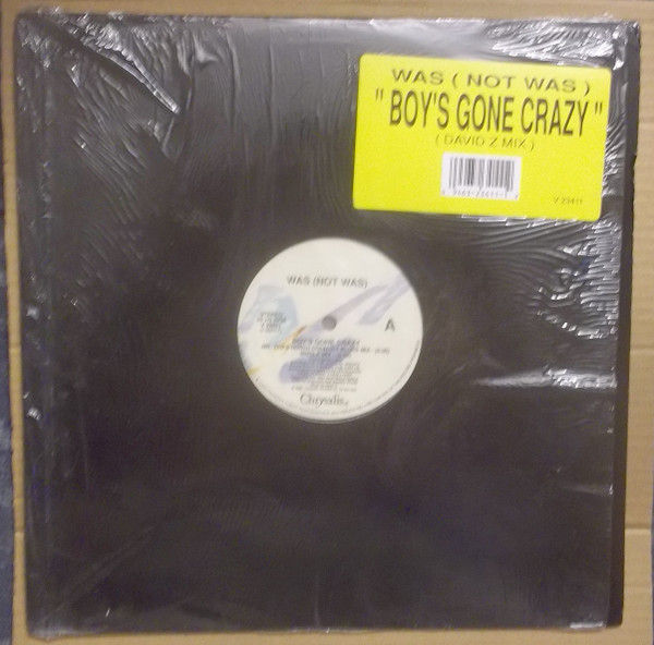 Album herunterladen Was (Not Was) - Boys Gone Crazy