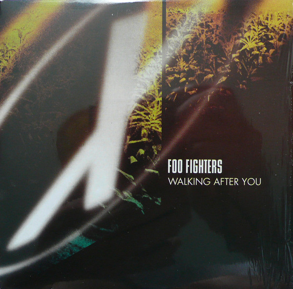 Foo Fighters - Walking After You (TRADUÇÃO) - Ouvir Música