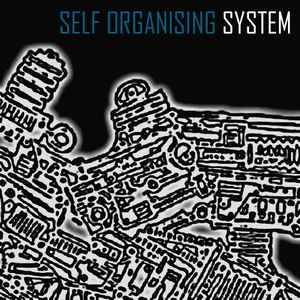 System (8) - Self Organising System