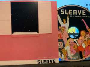 Sleave - Don't Expect Anything album cover