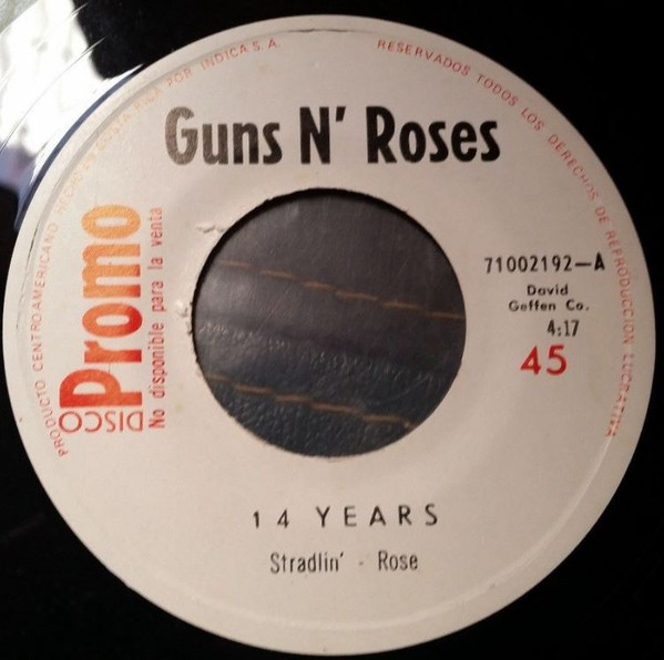 Album herunterladen Guns N' Roses - 14 Years