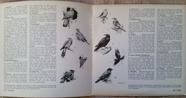 télécharger l'album John Kirby - Listen The Birds 17 Hoor De Vogels 17
