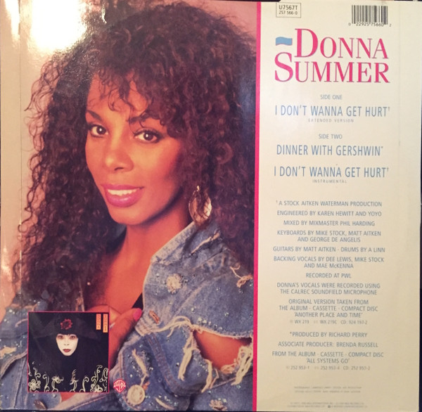 descargar álbum Download Donna Summer - I Dont Wanna Get Hurt album