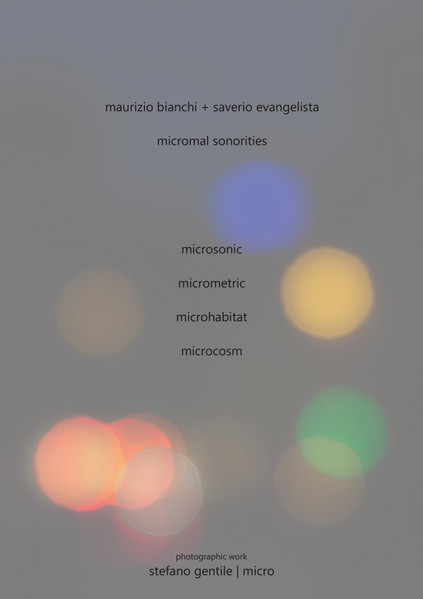Maurizio Bianchi+Saverio Evangelista / micromal sonorities 日本盤