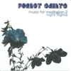 Forest Saints - Music For Meditation 2: Night Flights