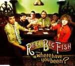 Reel Big Fish - discography, line-up, biography, interviews, photos