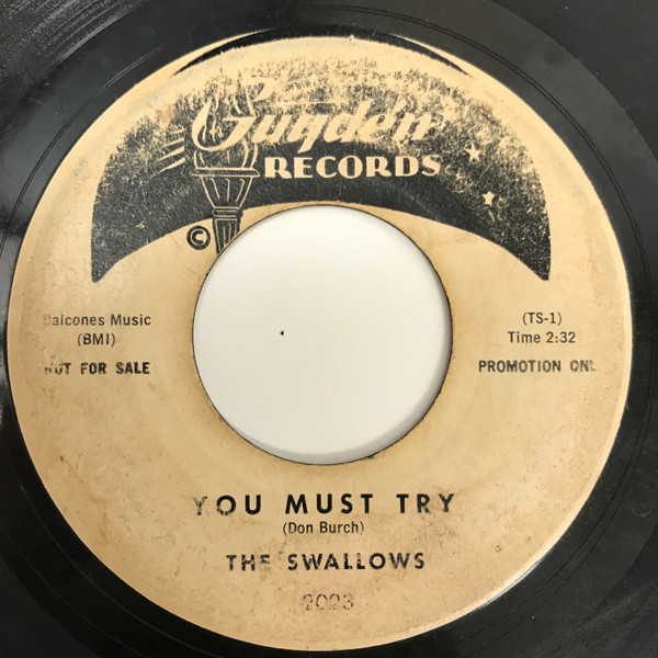 télécharger l'album The Swallows - You Must Try How Long Must A Fool Go On