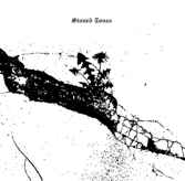 Tomoroh Hidari - Stoned Tones Vol 2 album cover