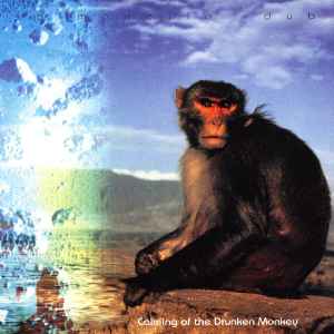 Calming Of The Drunken Monkey - Salmonella Dub