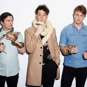 The Wombats on Discogs