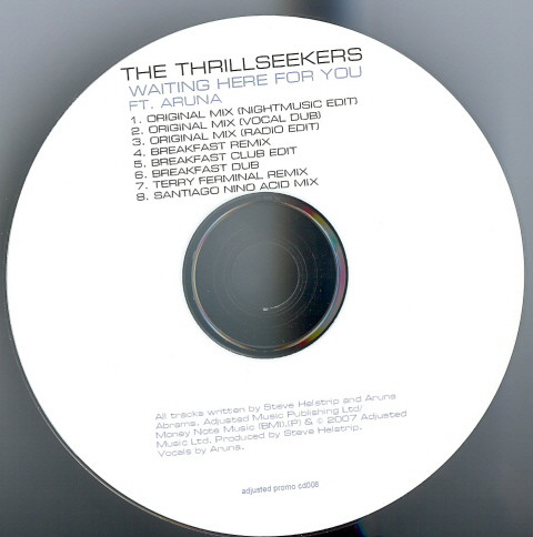 baixar álbum The Thrillseekers Ft Aruna - Waiting Here For You