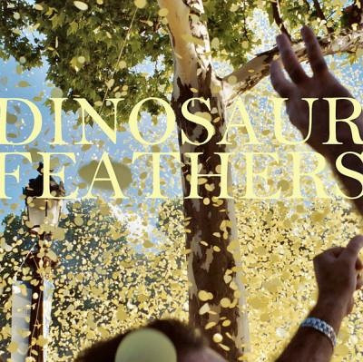 télécharger l'album Dinosaur Feathers - Whistle Tips
