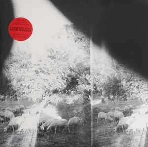 Godspeed You Black Emperor! - Asunder, Sweet And Other Distress album cover