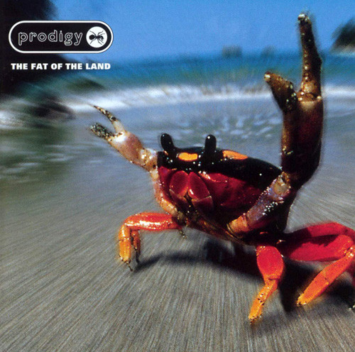 Prodigy – The Fat Of The Land (1997, Vinyl) - Discogs