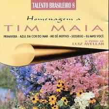 Luiz Avellar - Homenagem A Tim Maia album cover