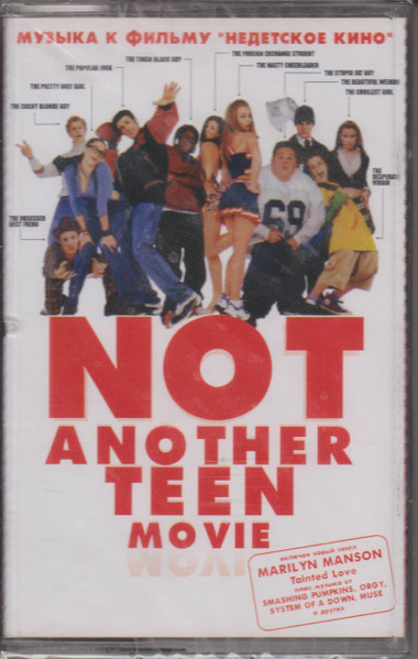 not another teen movie poster