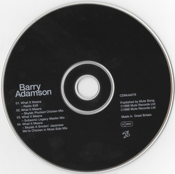 Barry Adamson - What It Means | Mute (CDMute219) - 2