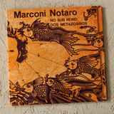 Marconi Notaro - No Sub Reino Dos Metazoários album cover