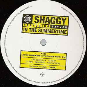 Shaggy - In The Summertime album cover