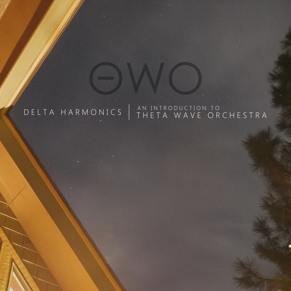 descargar álbum Theta Wave Orchestra - Delta Harmonics An Introduction To Theta Wave Orchestra