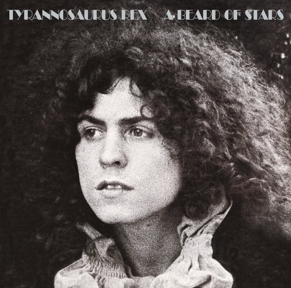 Tyrannosaurus Rex – A Beard Of Stars (2014, CD) - Discogs