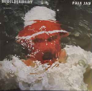 Pale Jay - Bewilderment album cover