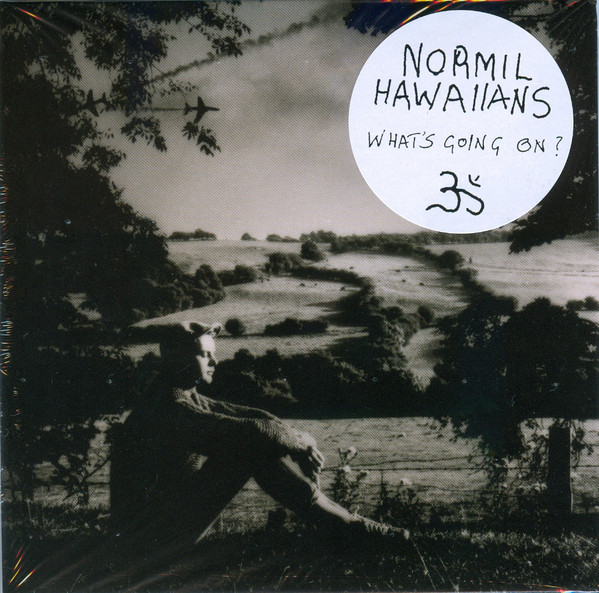 Normil Hawaiians – Whats Going On? (1984, Vinyl) - Discogs