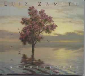 Luiz Zamith - Introspecção album cover