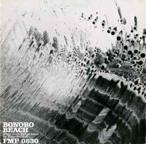 Bonobo Beach: Some More Guitar Solos - Hans Reichel