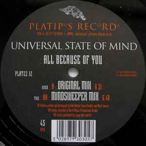 Portada de album Universal State Of Mind - All Because Of You