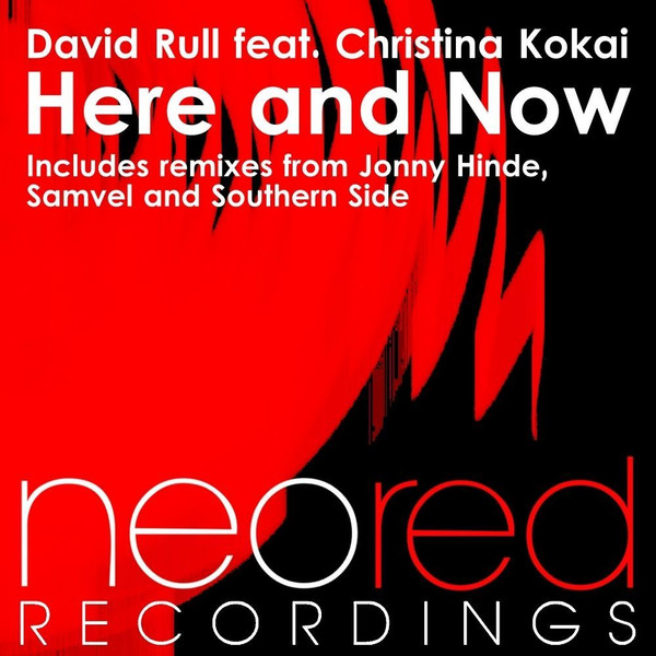 baixar álbum David Rull Feat Christina Kokai - Here And Now