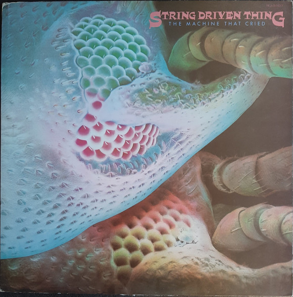 String Driven Thing - The Machine That Cried | Releases | Discogs